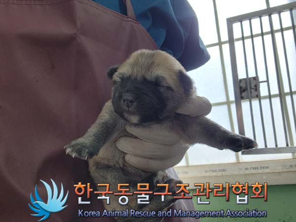 종료(자연사) 믹스…