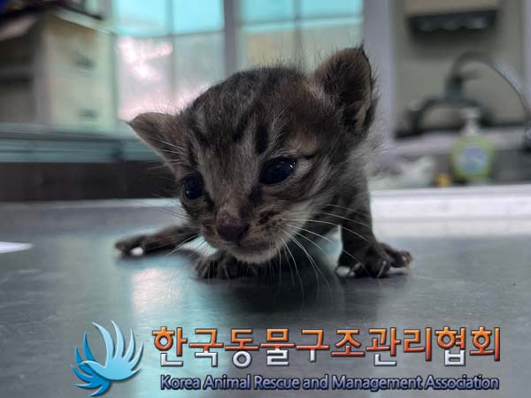 종료(자연사) 한국…