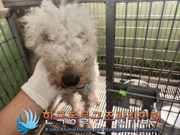 한국동물구조관리협회_441414202400767