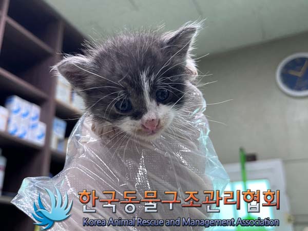 한국동물구조관리협회_441560202401244