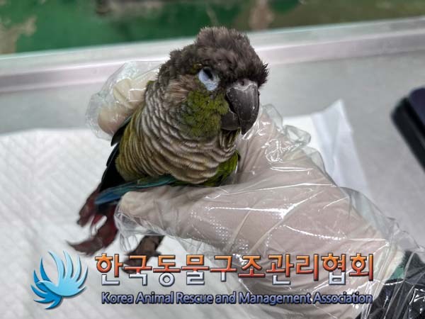 한국동물구조관리협회_411318202400401