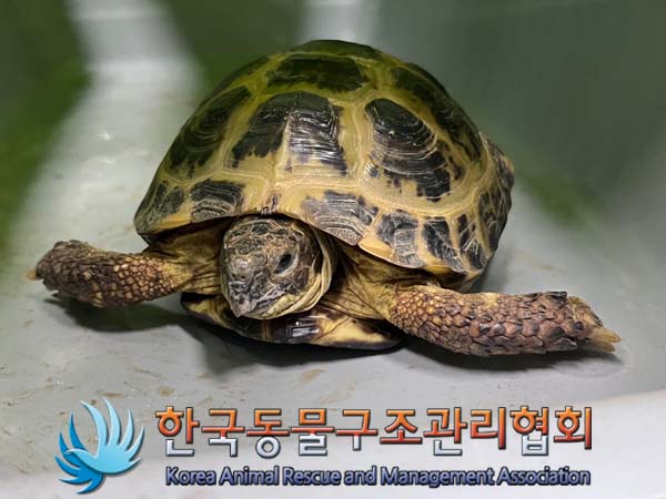 한국동물구조관리협회_411318202400402