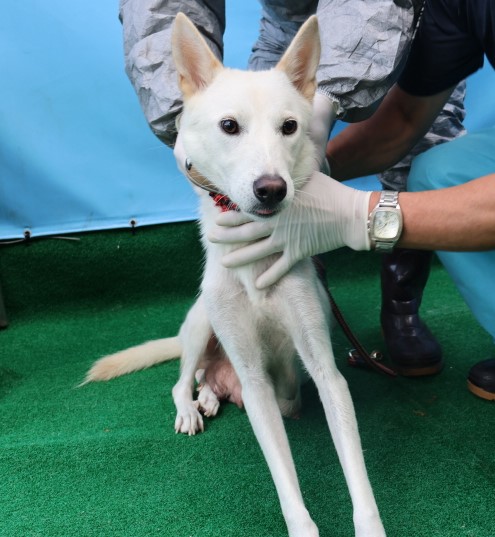 제주 동물보호센터_450650202403002