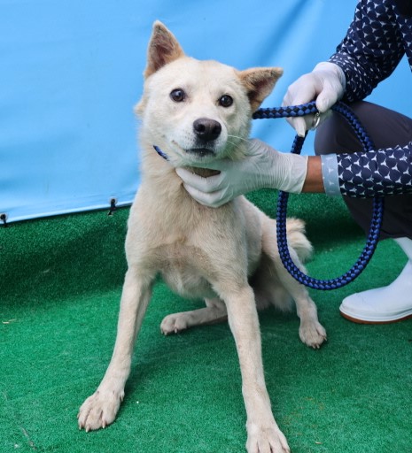 제주 동물보호센터_450650202402997