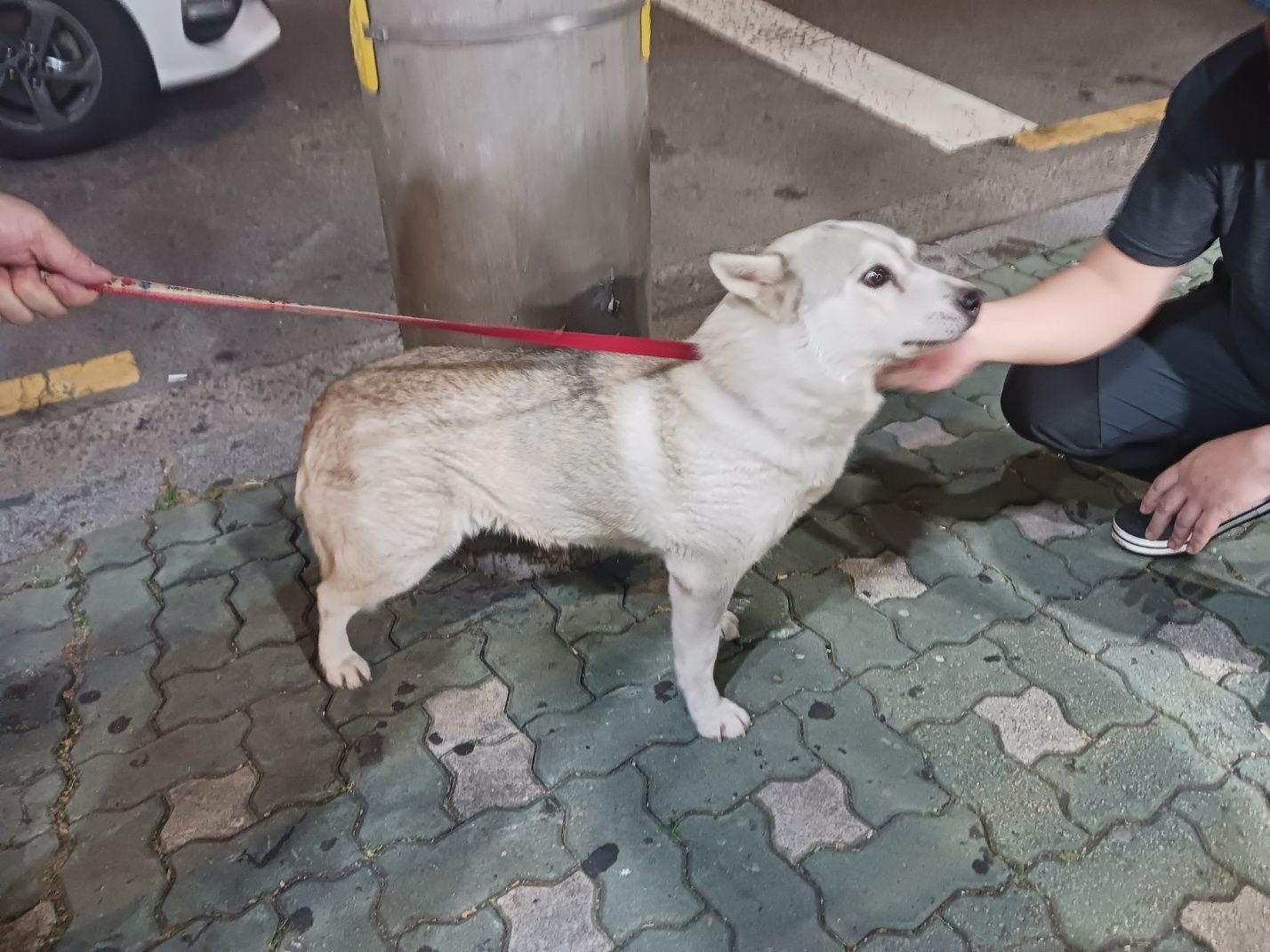 남산동물병원_411302202400711