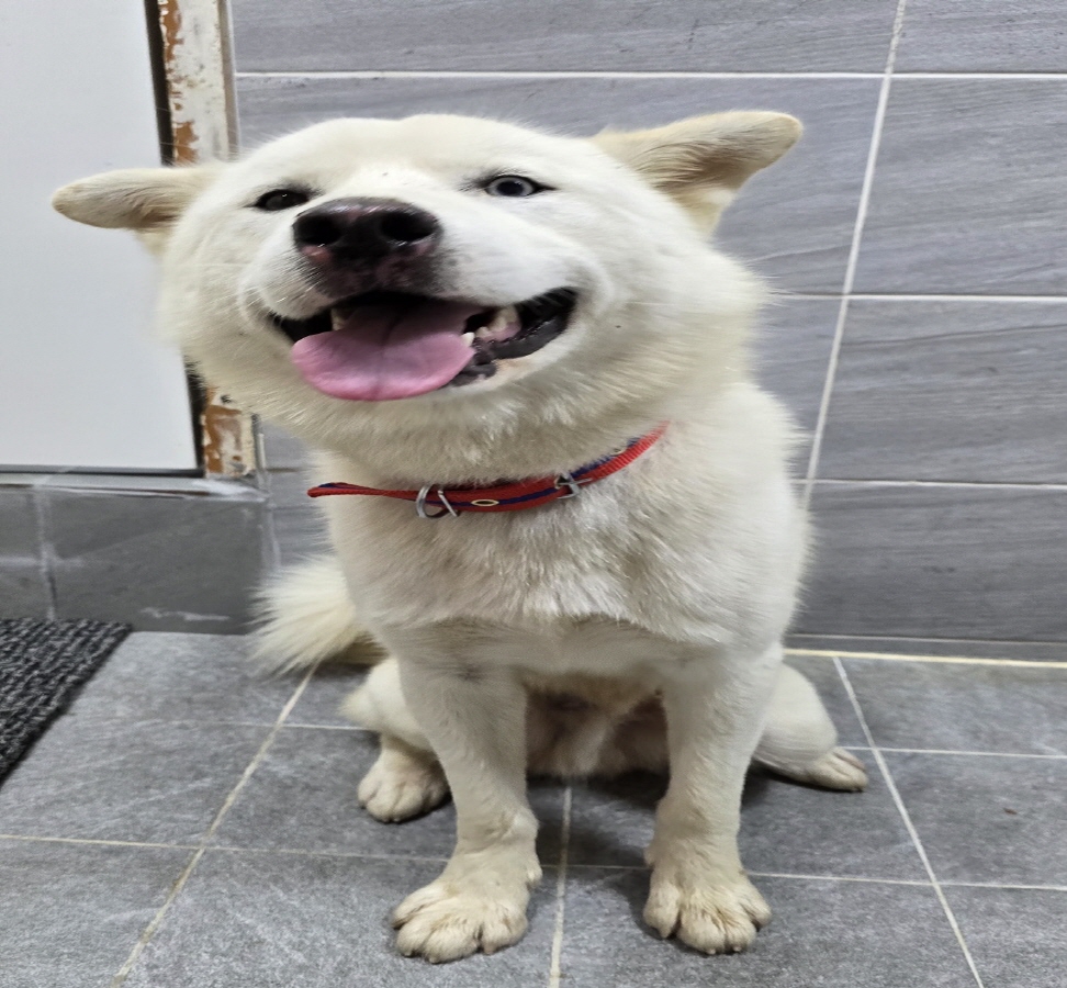 이성준동물병원_441408202401509