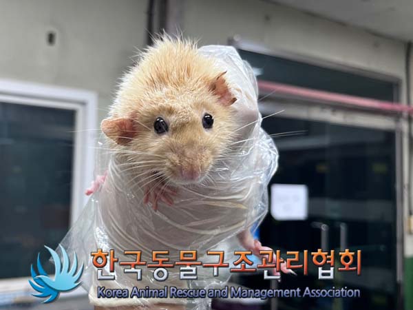 한국동물구조관리협회_411311202400782