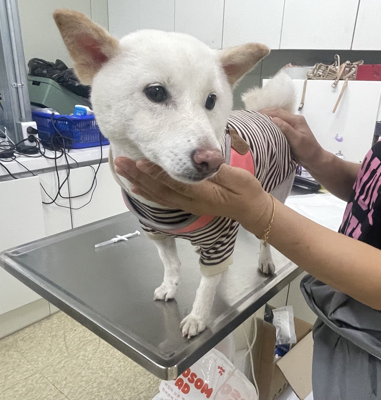 남양주시동물보호센터_441399202402777