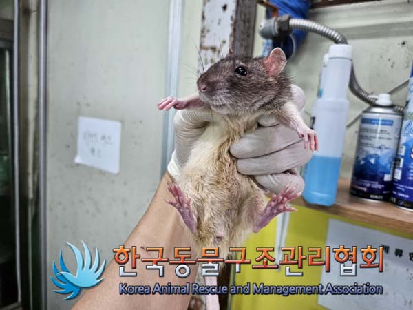 한국동물구조관리협회_411311202400763