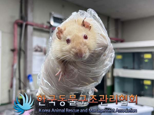한국동물구조관리협회_411311202400765