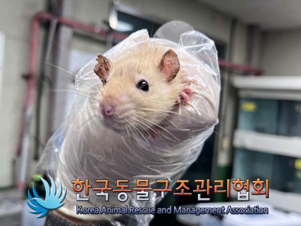 한국동물구조관리협회_411311202400778