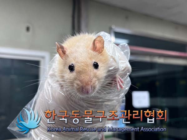 한국동물구조관리협회_411311202400781