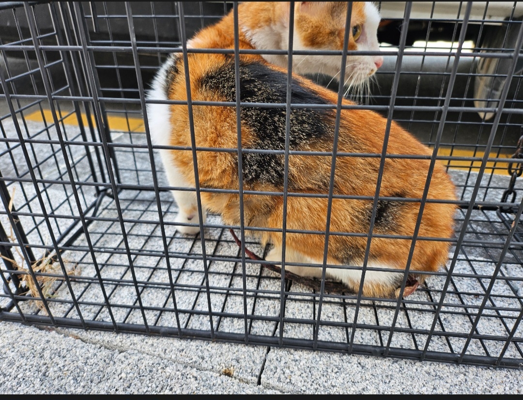 종료(기증) 한국 …