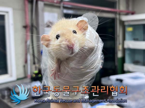 한국동물구조관리협회_411311202400779