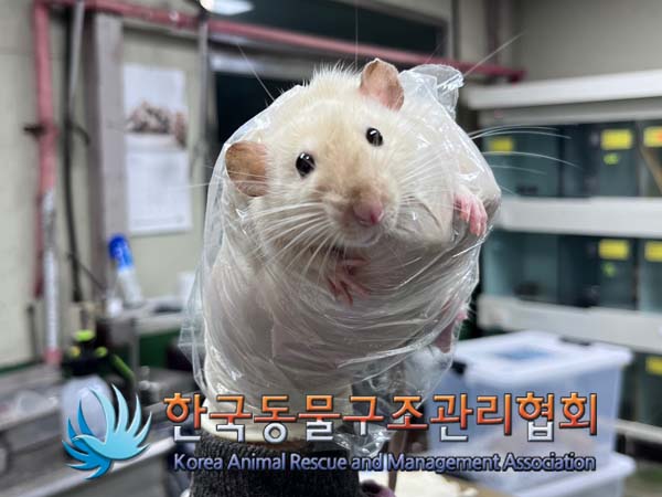 한국동물구조관리협회_411311202400790