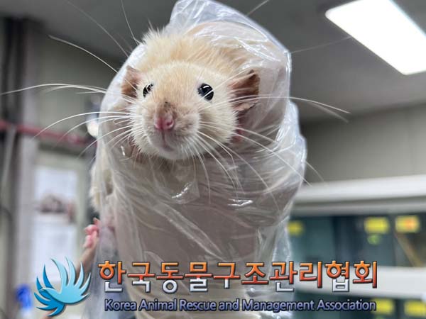 한국동물구조관리협회_411311202400793