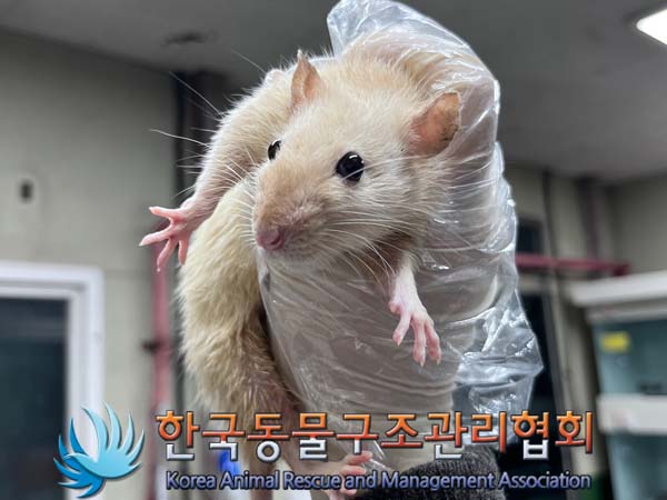 한국동물구조관리협회_411311202400796