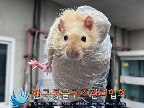 한국동물구조관리협회_411311202400788