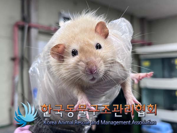 한국동물구조관리협회_411311202400794