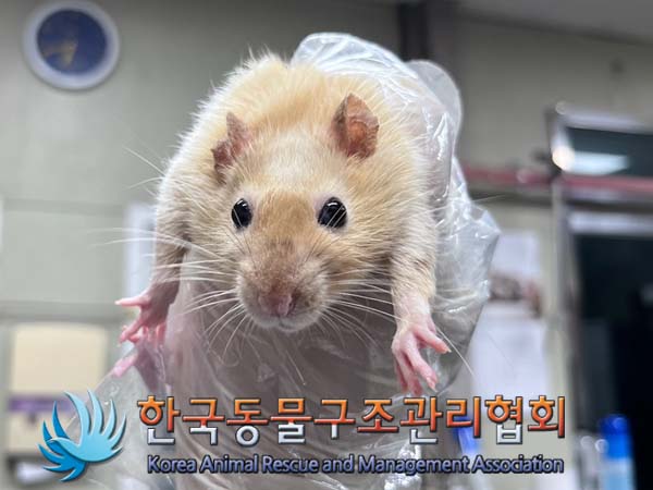 한국동물구조관리협회_411311202400792