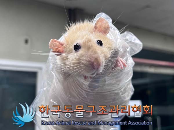 한국동물구조관리협회_411311202400795