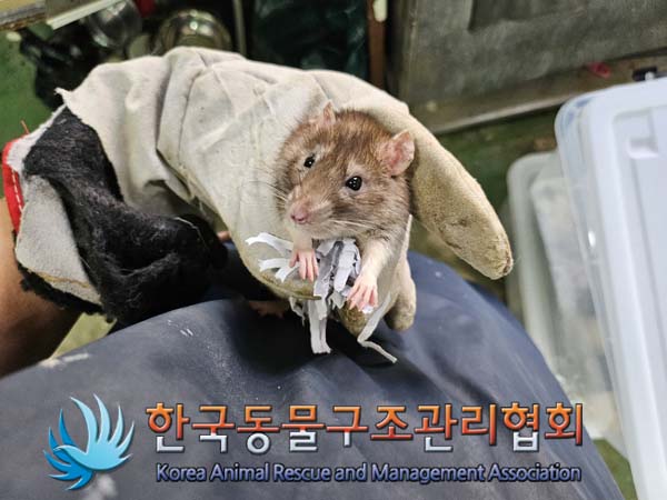 한국동물구조관리협회_411311202400802