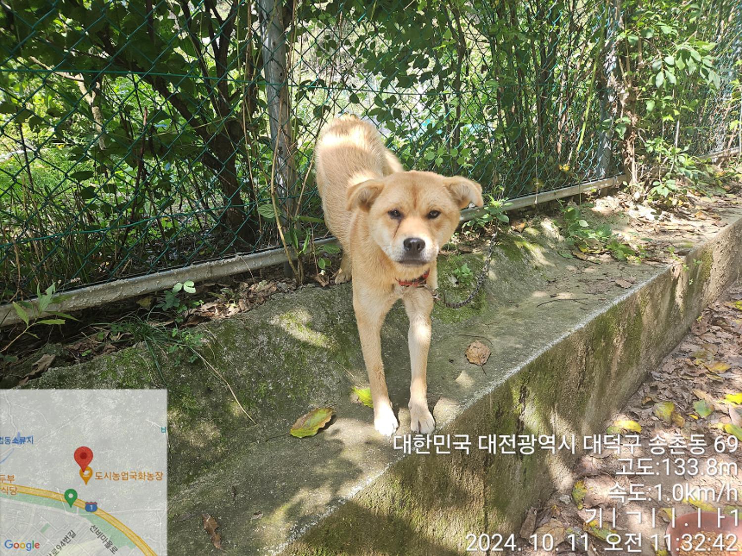 대전동물보호센터_430368202400448