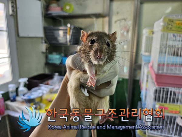 한국동물구조관리협회_411311202400817
