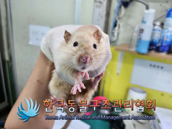 한국동물구조관리협회_411311202400811