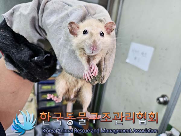 한국동물구조관리협회_411311202400820