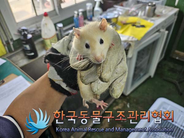 한국동물구조관리협회_411311202400823