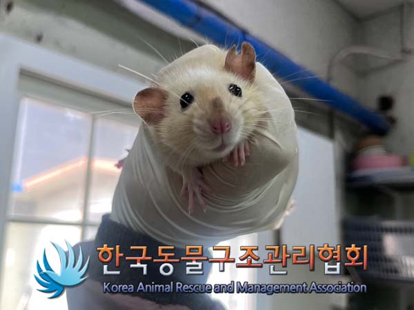 한국동물구조관리협회_411311202400827