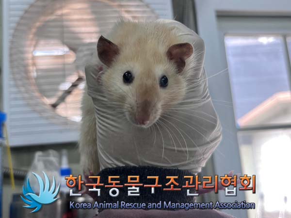 한국동물구조관리협회_411311202400825