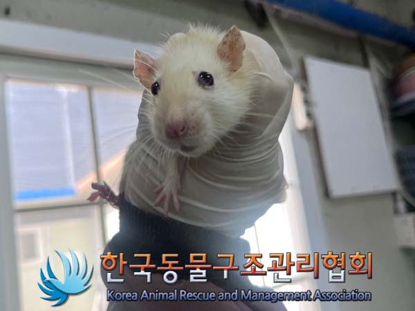 한국동물구조관리협회_411311202400829