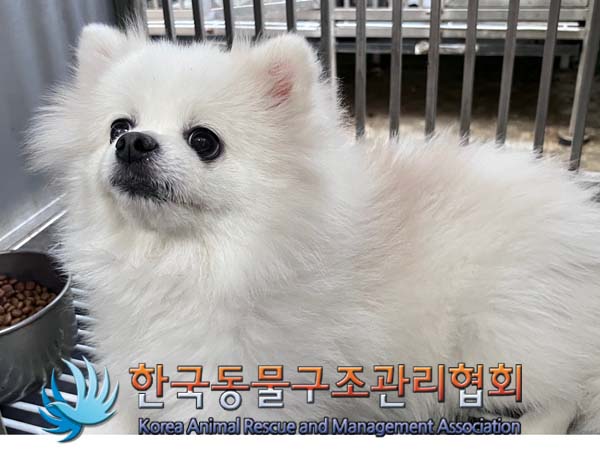 한국동물구조관리협회_411315202400511