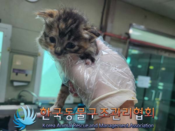 종료(자연사) 한국…