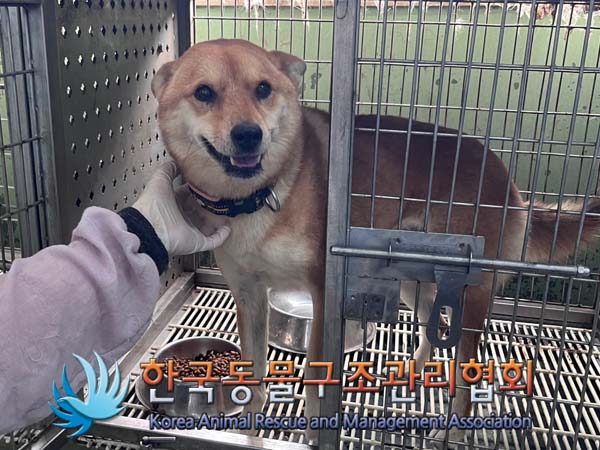 한국동물구조관리협회_441409202401528