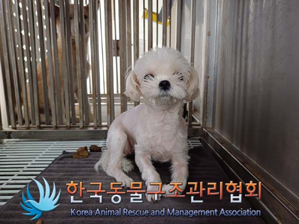 한국동물구조관리협회_441382202400756