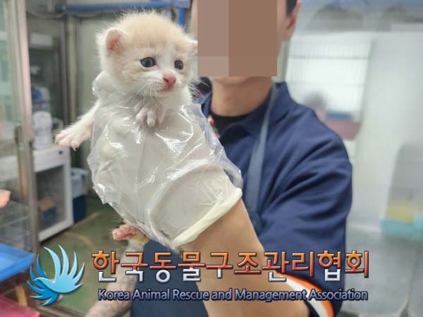 한국동물구조관리협회_441560202401250