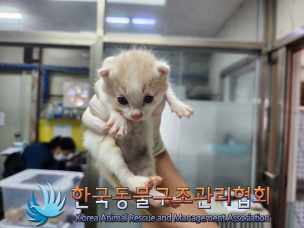한국동물구조관리협회_441560202401251