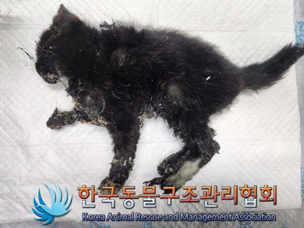 종료(자연사) 한국…