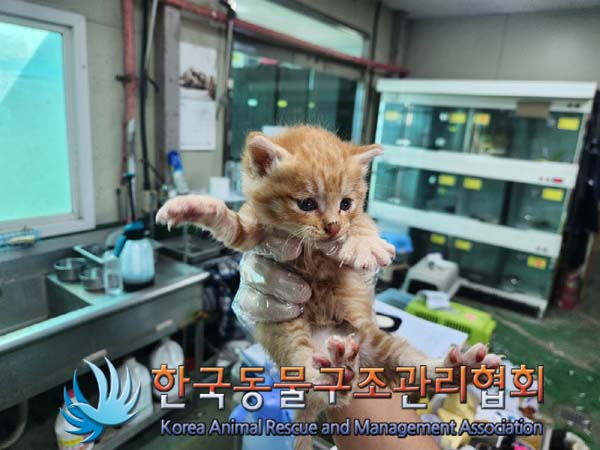 한국동물구조관리협회_441406202401722