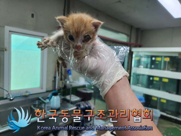종료(자연사) 한국…