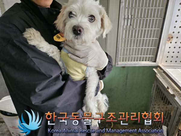 한국동물구조관리협회_411310202400656