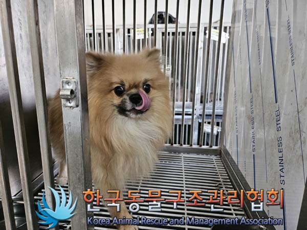 한국동물구조관리협회_411310202400654