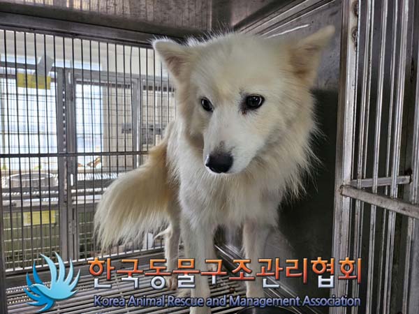 한국동물구조관리협회_441560202401262
