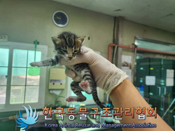 한국동물구조관리협회_441414202400772