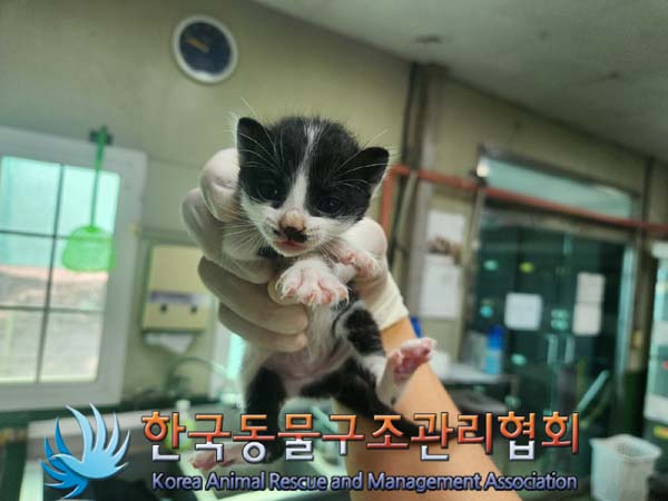 한국동물구조관리협회_441414202400773