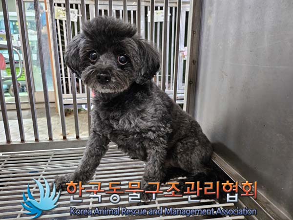 한국동물구조관리협회_411323202401025