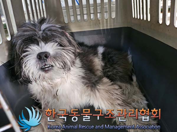 한국동물구조관리협회_411322202400667